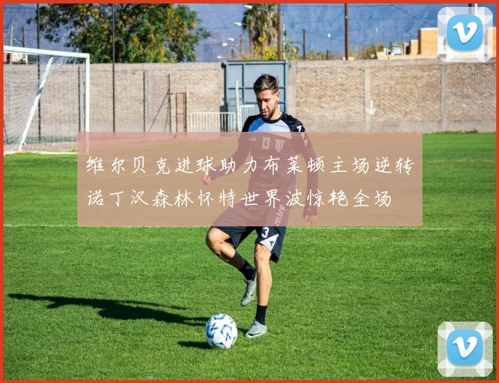维尔贝克进球助力布莱顿主场逆转诺丁汉森林怀特世界波惊艳全场