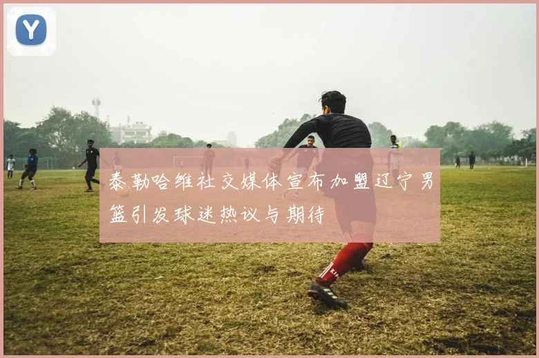 泰勒哈维社交媒体宣布加盟辽宁男篮引发球迷热议与期待