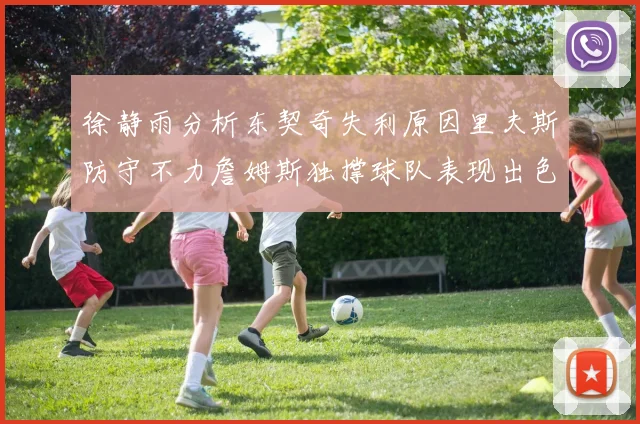 徐静雨分析东契奇失利原因里夫斯防守不力詹姆斯独撑球队表现出色